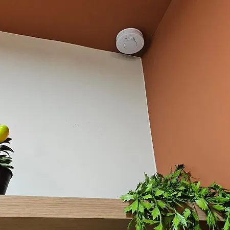 Appartement Olive Garden Terracota