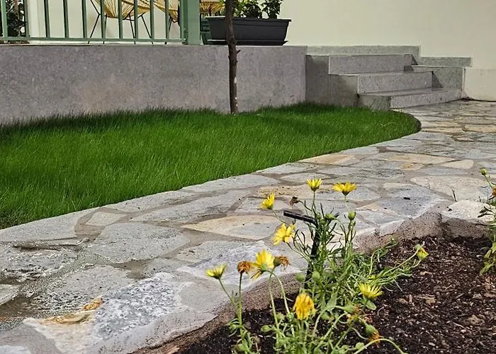 Olive Garden Terracota *