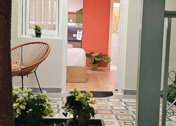 Olive Garden Terracota