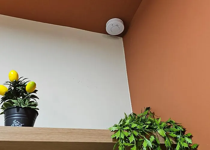 アパート Olive Garden Terracota